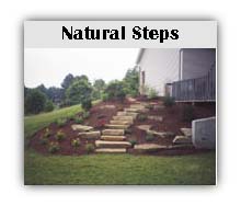 natural steps
